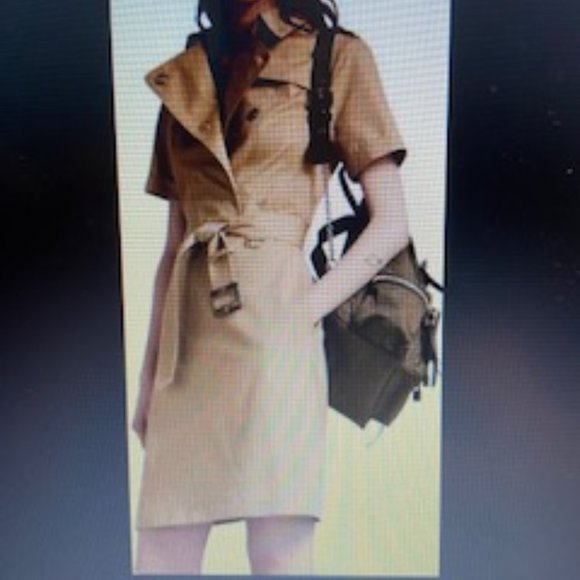 Burberry Dress "Larissa" NWT size 4 - Picture 1 of 13
